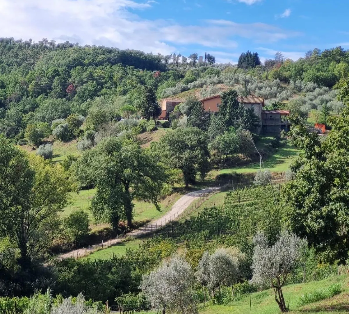 Apartment Casa Solatii Montefioralle Greve in Chianti